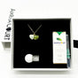 Gift Box - Aroma Necklace 925 Silver, Gold coated - Green Shell Electric Lime (Light Green) + Purify Oil Blend V760-GBAJ - 12
