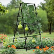 FIN Metal Garden Trellis Arch Climbing Plants Grow Support Frame with Ground Spikes V767-HJ-XZ1638