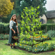 FIN Metal Garden Trellis Arch Climbing Plants Grow Support Frame with Ground Spikes V767-HJ-XZ1638