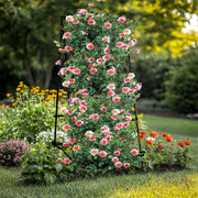 FIN Metal Garden Trellis Arch Climbing Plants Grow Support Frame with Ground Spikes V767-HJ-XZ1638