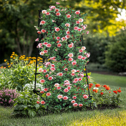 FIN Metal Garden Trellis Arch Climbing Plants Grow Support Frame with Ground Spikes V767-HJ-XZ1638