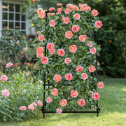 FIN Metal Garden Trellis Arch Climbing Plants Grow Support Frame with Ground Spikes V767-HJ-XZ1638