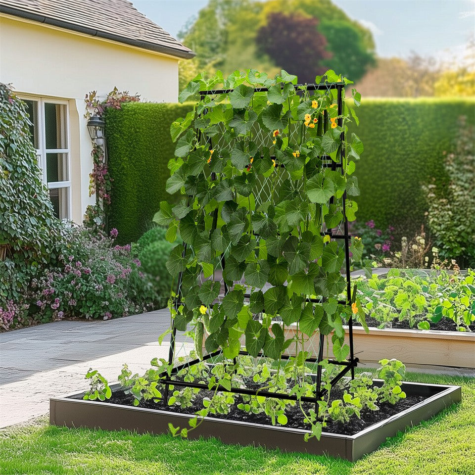 FIN Metal Garden Trellis Arch Climbing Plants Grow Support Frame with Ground Spikes V767-HJ-XZ1638