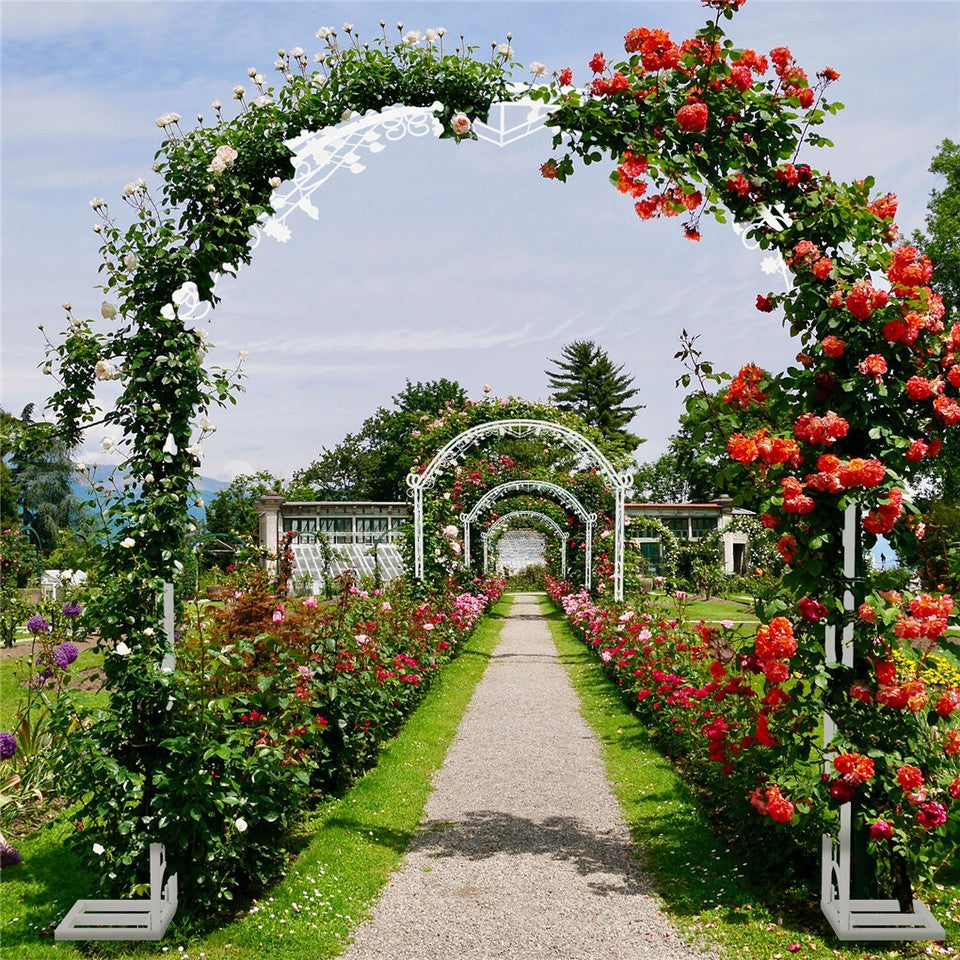 Fin Xl Decorative Double Rails Iron Arbor Garden Archway Trellis Metal Wedding Arch V767-HQ-XJ141-G2
