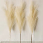 110CM Artificial Pampas Grass Large Tall Fluffy Faux Bulrush Reed Grass Bunch for Home Wedding Boho Decor V767-JJ-XR631-BG