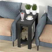 Rustic 2 Tier Side Table Open Accent Table Bedside Storage Slim Coffee End Table V767-JJ-XT411-G1