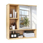 Xl Bathroom Wall Mirror Medicine Cabinet With Single Door And Adjustable Shelves V767-JJ-ZZ1338