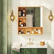 Xl Bathroom Wall Mirror Medicine Cabinet With Single Door And Adjustable Shelves V767-JJ-ZZ1338