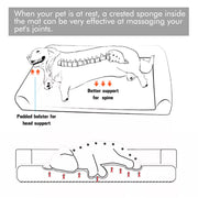 P&P Pet Cot with Bolster Support and Breathable Mesh Design for Dogs to Lounge(XL) V767-P-XD128-GY-XLG1