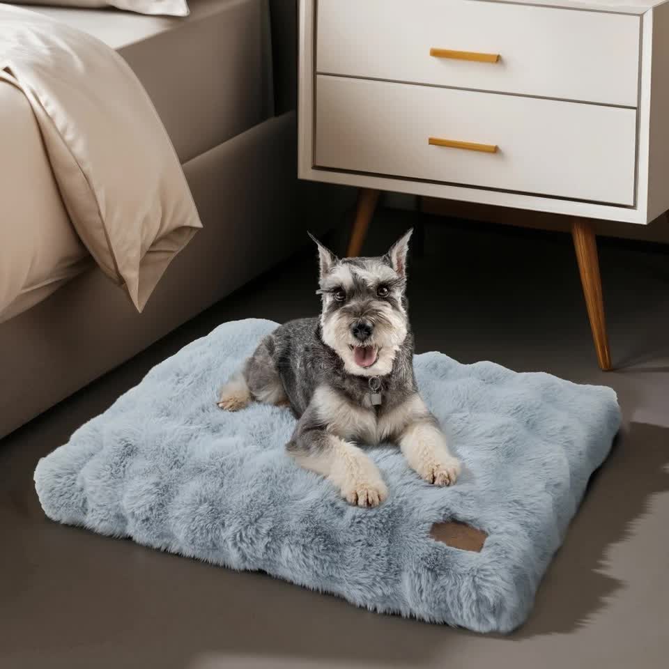 Comfortable Pet Bed with Removable Cover and Anti Skid Base(Medium)