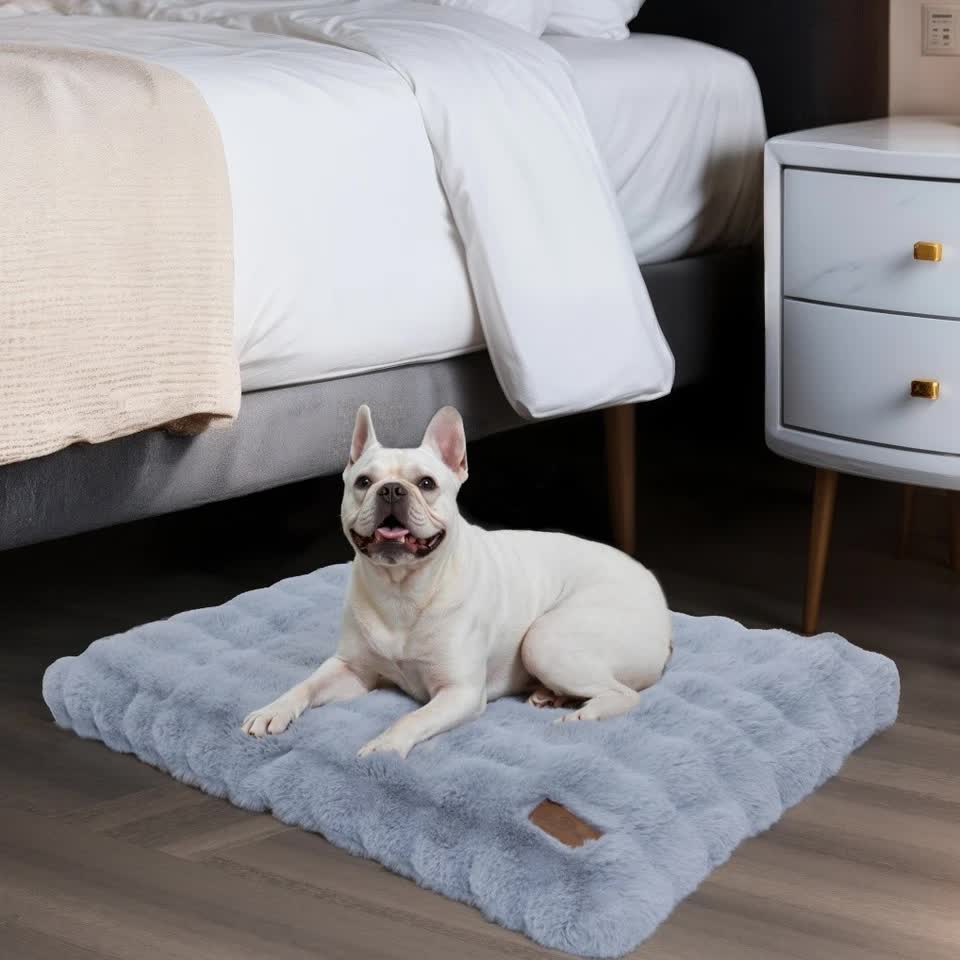 Comfortable Pet Bed with Removable Cover and Anti Skid Base(Medium)