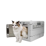 Portable Cat Travel Carrier Collapsible Plastic Kitten Pet Carry Crate V767-P-ZM1823-GY