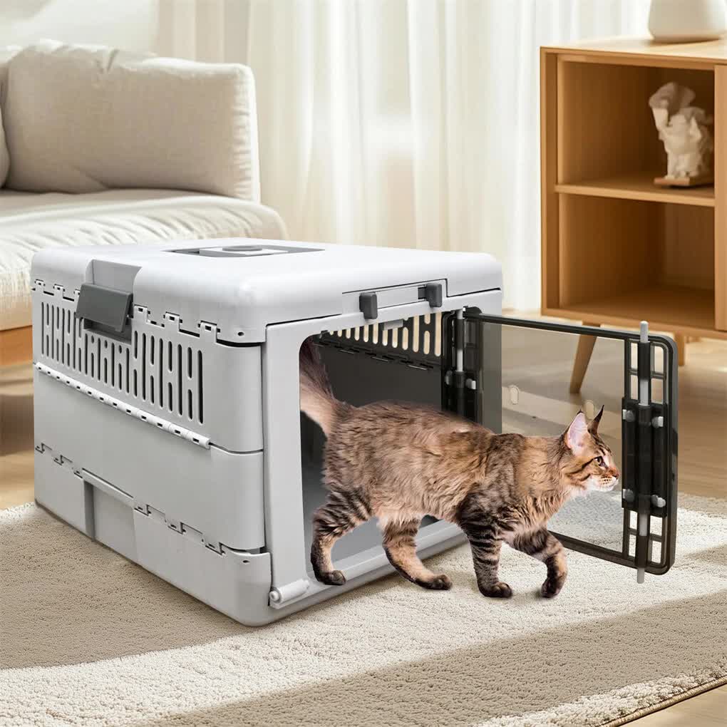 Portable Cat Travel Carrier Collapsible Plastic Kitten Pet Carry Crate V767-P-ZM1823-GY
