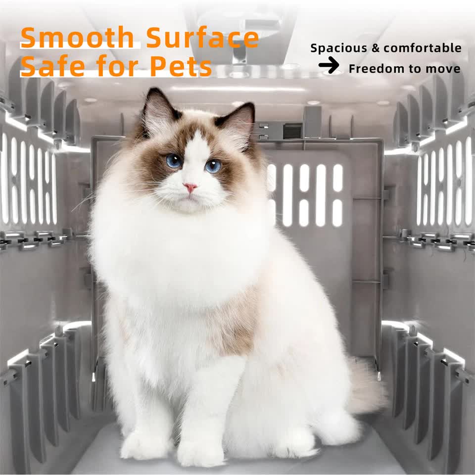 Portable Cat Travel Carrier Collapsible Plastic Kitten Pet Carry Crate V767-P-ZM1823-GY