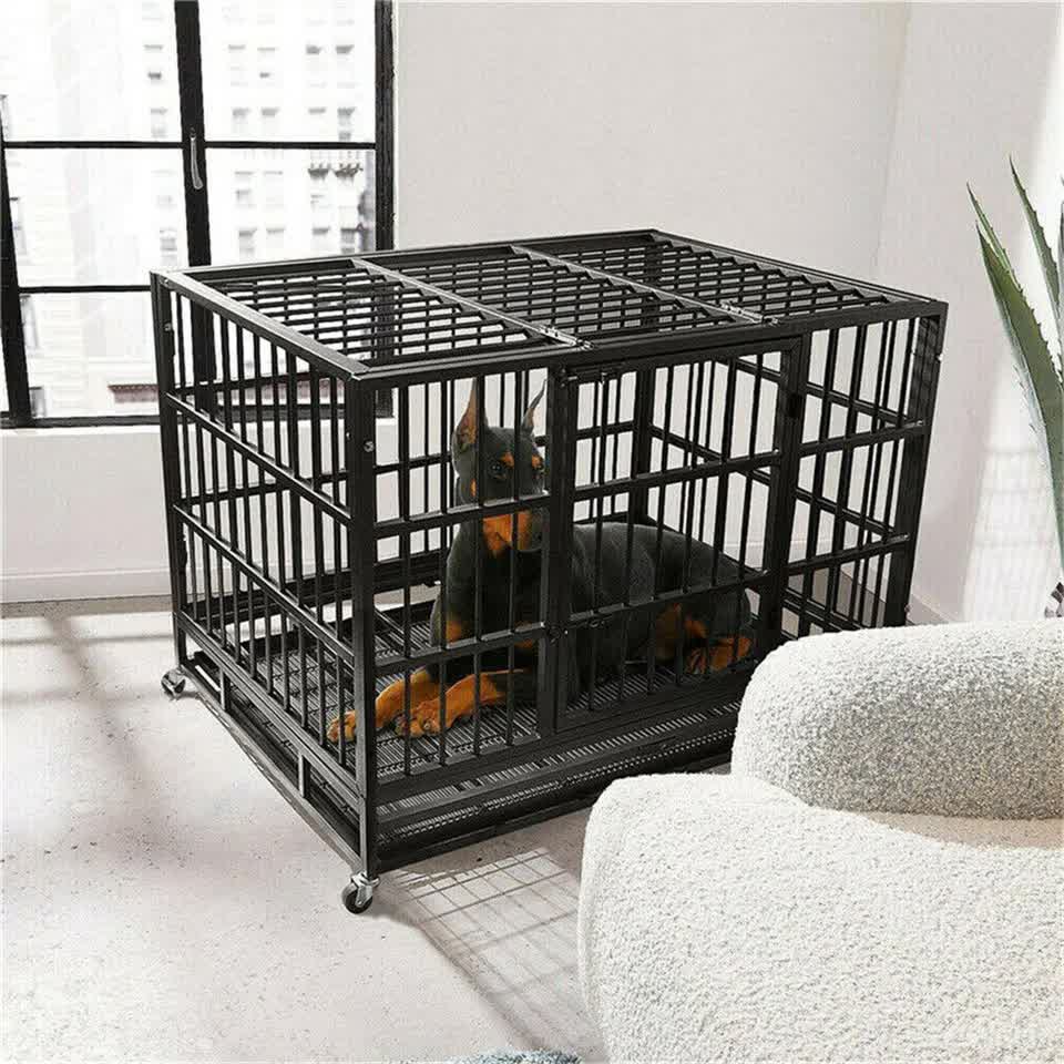 Heavy Duty Dog Cage with Lock & Bottom Tray XXL