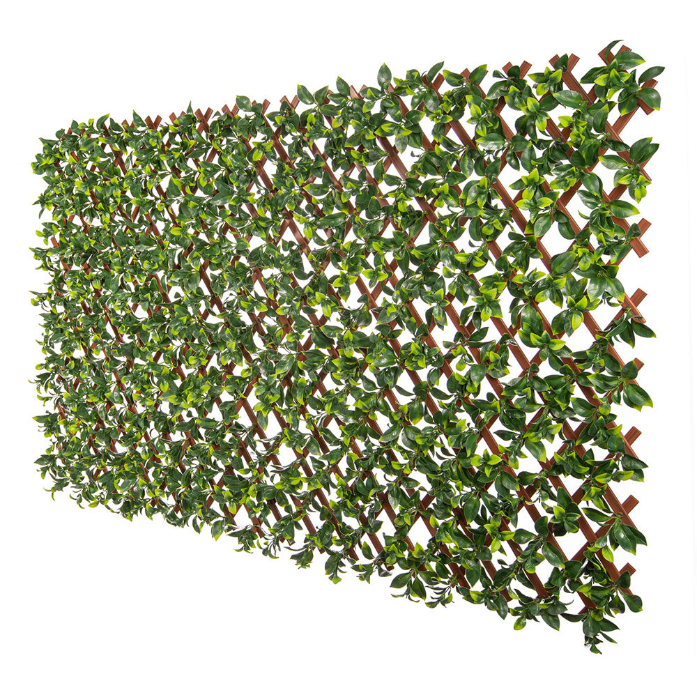 Jasmine Artificial Hedge Extendable Trellis / Screen 2 Meter By 1 Meter UV Resistant (PVC) V77-10786514