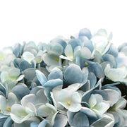 Premium Faux Hydrangea With Glass Vase (Artificial Flowering Blue Hydrangea) 23cm V77-88015
