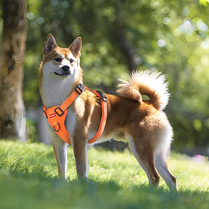 Reflective Dog Harness with Leash, No-Pull Vest Harness for Dogs, Adjustable Dog Vest with Handle, Walking V888-ELOSUNG10093