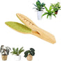 Portable Leaf Cleaning Brush - Creative Plant Leaf Cleaner for Indoor & Outdoor Use V888-ELOSUNG12465