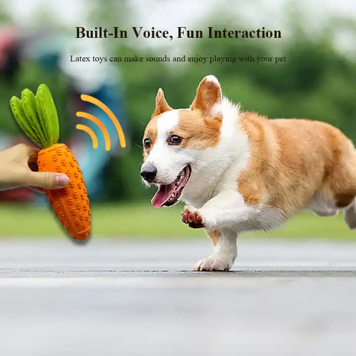 2 PCS Durable Rubber Carrot Dog Toy - Squeaky Chew Toy for Large Dogs, Puppy Teething & Dental Care, V888-ELOSUNG13145