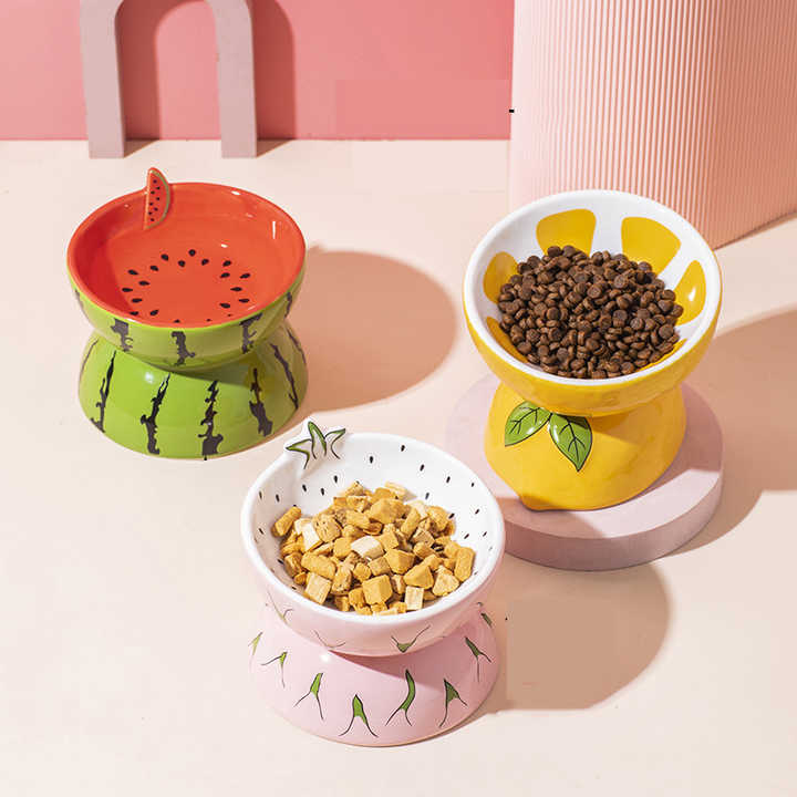 Ceramic Elevated Pet Food Bowl - Cute Pitaya Pattern Design for Cats and Small Dogs V888-ELOSUNG15219