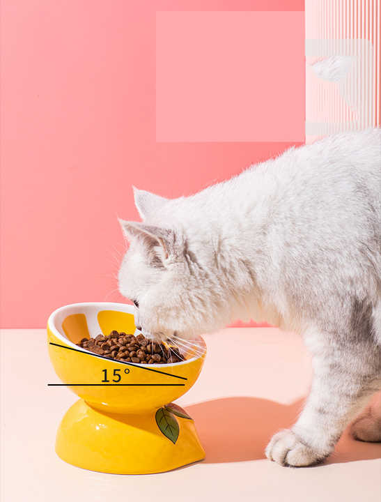 Ceramic Elevated Pet Food Bowl - Cute Pitaya Pattern Design for Cats and Small Dogs V888-ELOSUNG15219
