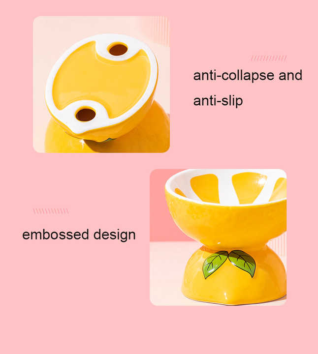 Ceramic Elevated Pet Food Bowl - Cute Pitaya Pattern Design for Cats and Small Dogs V888-ELOSUNG15219