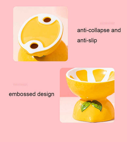 Ceramic Elevated Pet Food Bowl - Cute Pitaya Pattern Design for Cats and Small Dogs V888-ELOSUNG15219