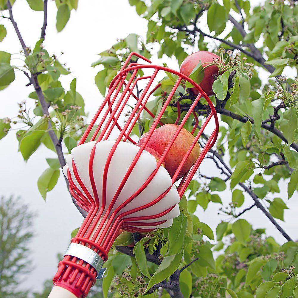 Fruit picking tool with telescopic pole - stainless steel fruit picking pole, high altitude tree fruit V888-ELOSUNG20660