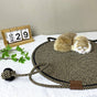 3 Pcs Black And Brown Durable Cat Scratching Mat with Attached Toy Ball - Washable and Multi-Functional, V888-ELOSUNG21196