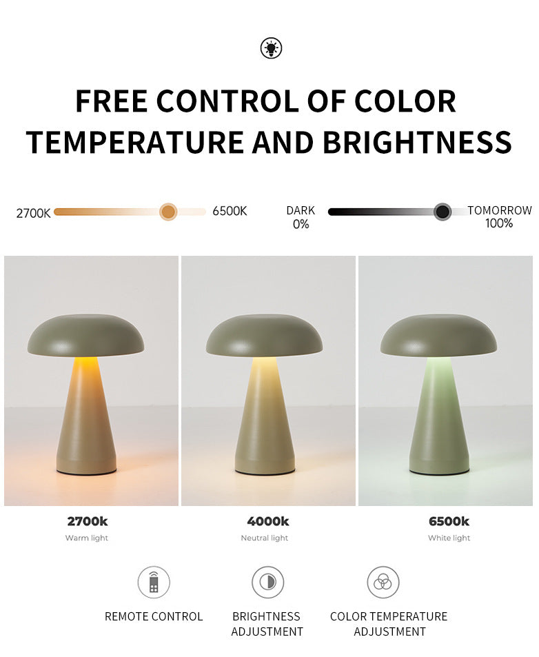 Silver Metal Mushroom Table Lamp - Rechargeable Touch Control Ambient Light with Remote V888-ELOSUNG21725