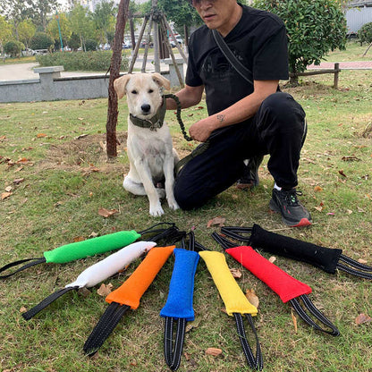 Black Durable 2-Pack Tug-of-War Dog Training Toy - Tear-Resistant, Safe & Interactive for All Breeds V888-ELOSUNG21853