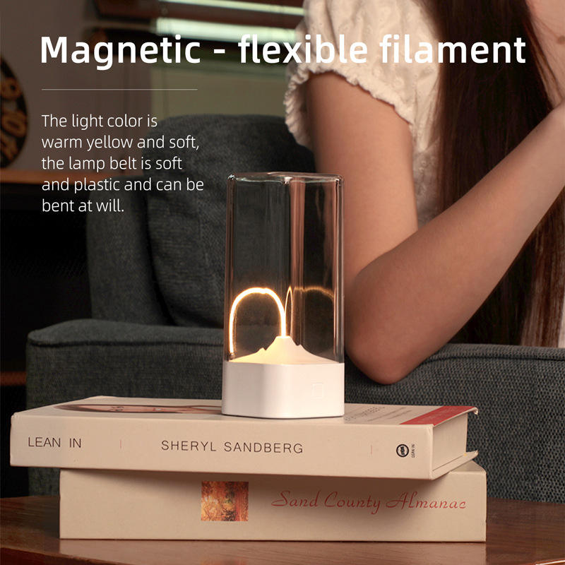Gery Portable Magnetic Table Lamp with Bendable LED - USB-C Rechargeable V888-ELOSUNG22980