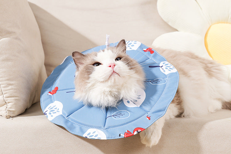 2 Pcs Size M Blue Comfortable Pet Recovery Collar | Waterproof Anti-Lick Collar for Cats & Dogs V888-ELOSUNG23809