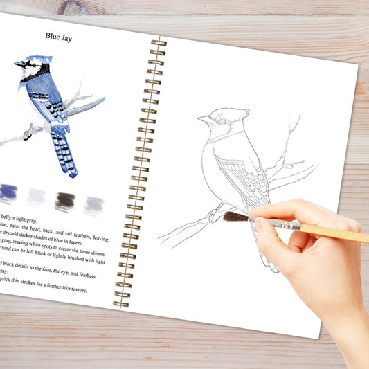 Bird 2-Pack Watercolor Painting Set - Premium Bird-Themed Coloring Books with Watercolor Paints V888-ELOSUNG24559