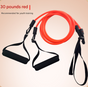 Red Handle Model [Training Strength] [30lbs] Swim Resistance Band Trainer - Dry-Land Arm Strength & Stroke V888-ELOSUNG24903