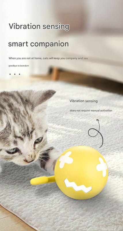 Rechargeable Interactive Cat Toy - Self-Rolling Ball with LED Light,Standard Edition Blue V888-ELOSUNG25247