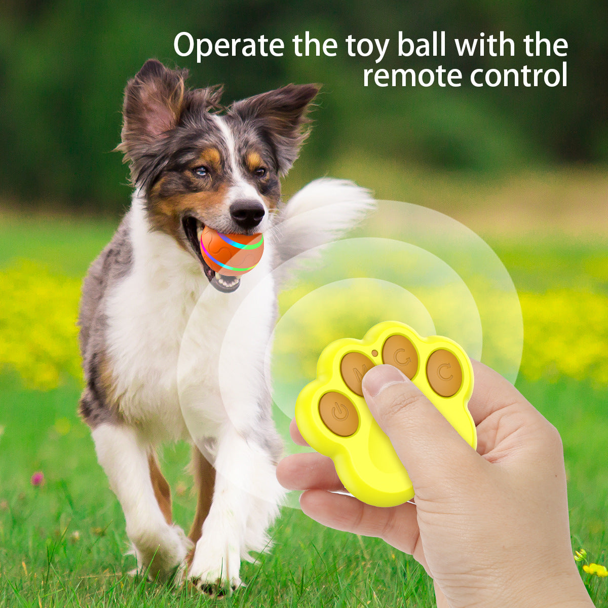 Interactive Auto Pet Toy Ball with Remote Control - USB Rechargeable, LED Lights, Sturdy & Waterproof(orange) V888-ELOSUNG25696