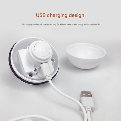 Smart USB Rechargeable Pet Interactive Rolling Ball(White) V888-ELOSUNG25938