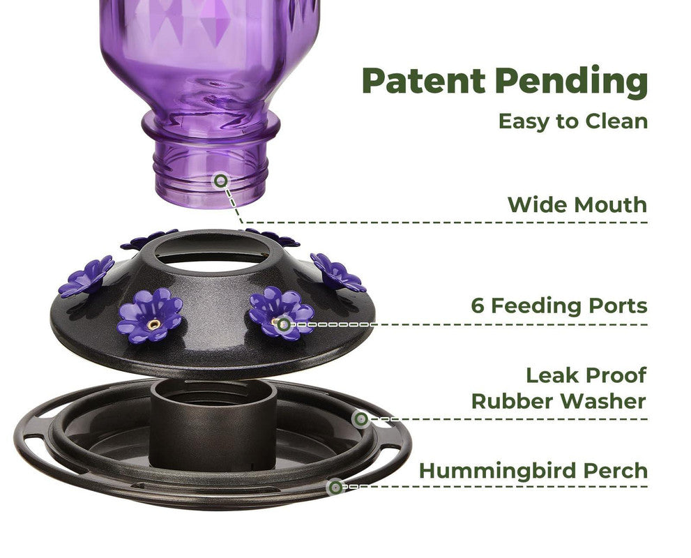 Elegant Hanging Hummingbird Feeder - Decorative Glass Nectar Bottle with Ant Moat, 6 Feeding Ports(Red) V888-ELOSUNG25955