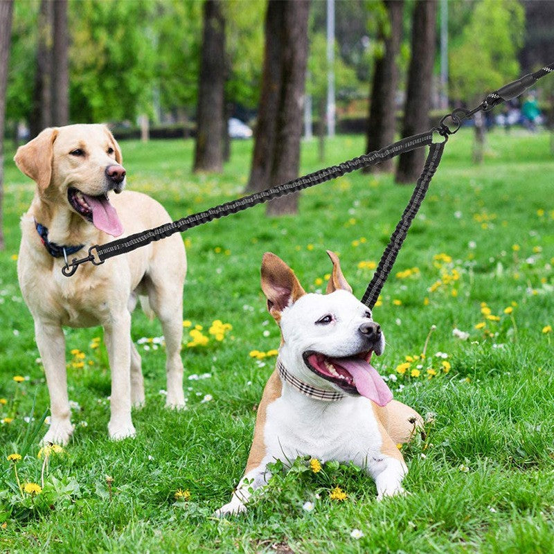 Black Pet Double-Ended Rope + 1.5M Leash - Easy to walk two dogs, tangle-free design V888-ELOSUNG26034