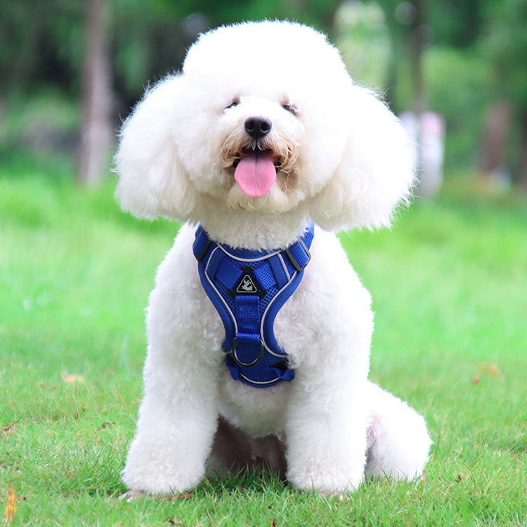 Blue Reflective Mesh Dog Harness and Leash Set - Adjustable No-Pull Vest - M V888-ELOSUNG26040