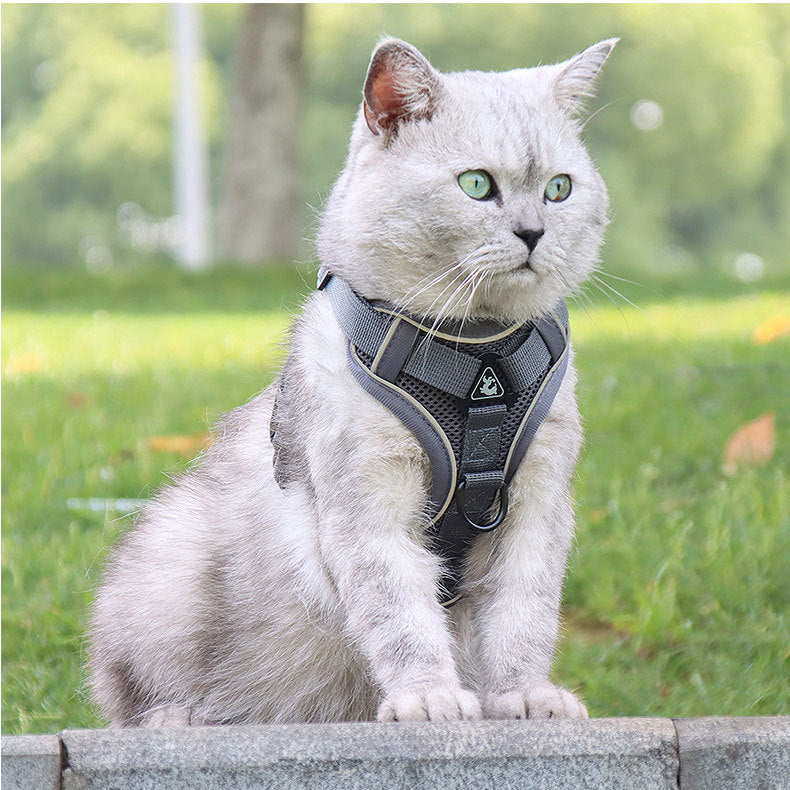 Grey Reflective Mesh Dog Harness and Leash Set - Adjustable No-Pull Vest - L V888-ELOSUNG26082