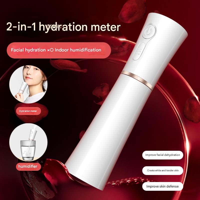 Red 2 in 1 Cool Mist Humidifier and Facial Moisturizer - USB Rechargeable Portable Nano Sprayer V888-ELOSUNG26186