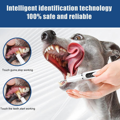 White Professional Pet Dental Cleaning Kit - Ultrasonic Scaler, Tools & 3 Modes V888-ELOSUNG26389