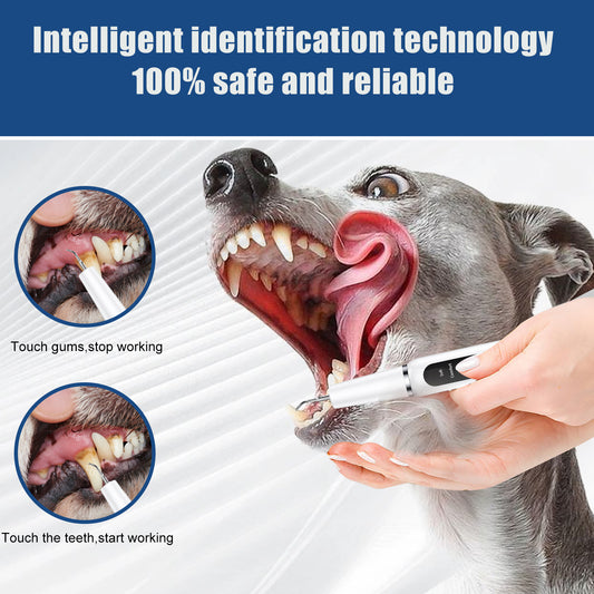Black Professional Pet Dental Cleaning Kit - Ultrasonic Scaler, Tools & 3 Modes V888-ELOSUNG26390