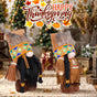Plush Thanksgiving Dolls - Faceless Figures with Fringe & Braids (Set of 2) V888-ELOSUNG26498