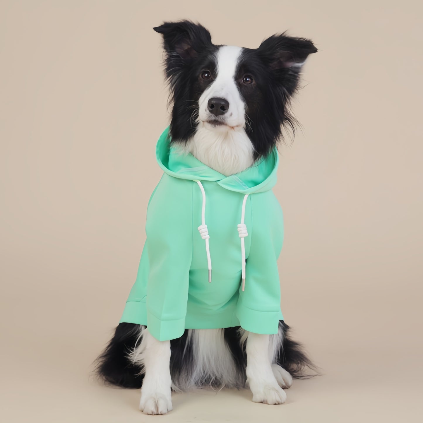Green Classic Dog Sweatshirt with Hood & Drawstrings - For Large Dogs (Size : 4XL) V888-ELOSUNG26788