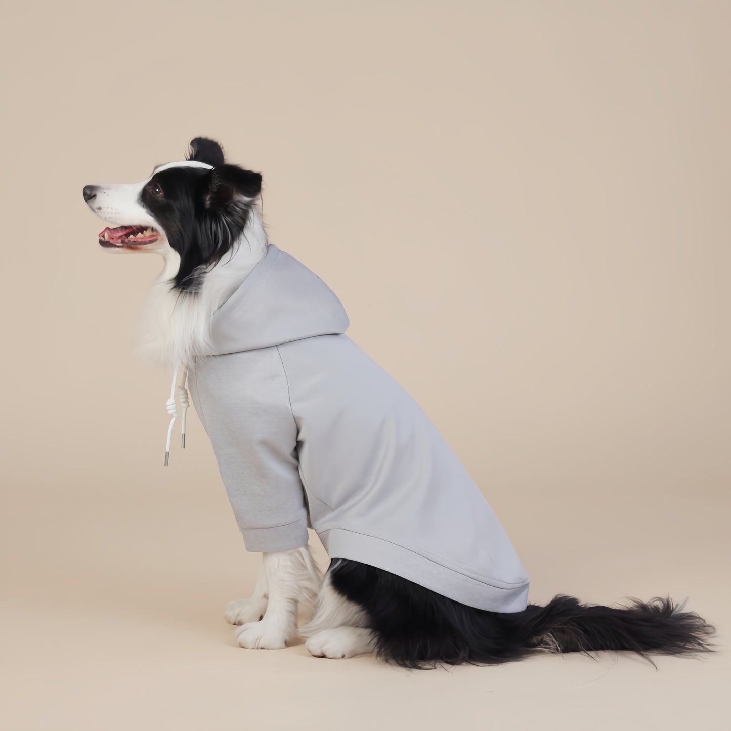 Grey Classic Dog Sweatshirt with Hood & Drawstrings - For Large Dogs (Size : 3XL) V888-ELOSUNG26813