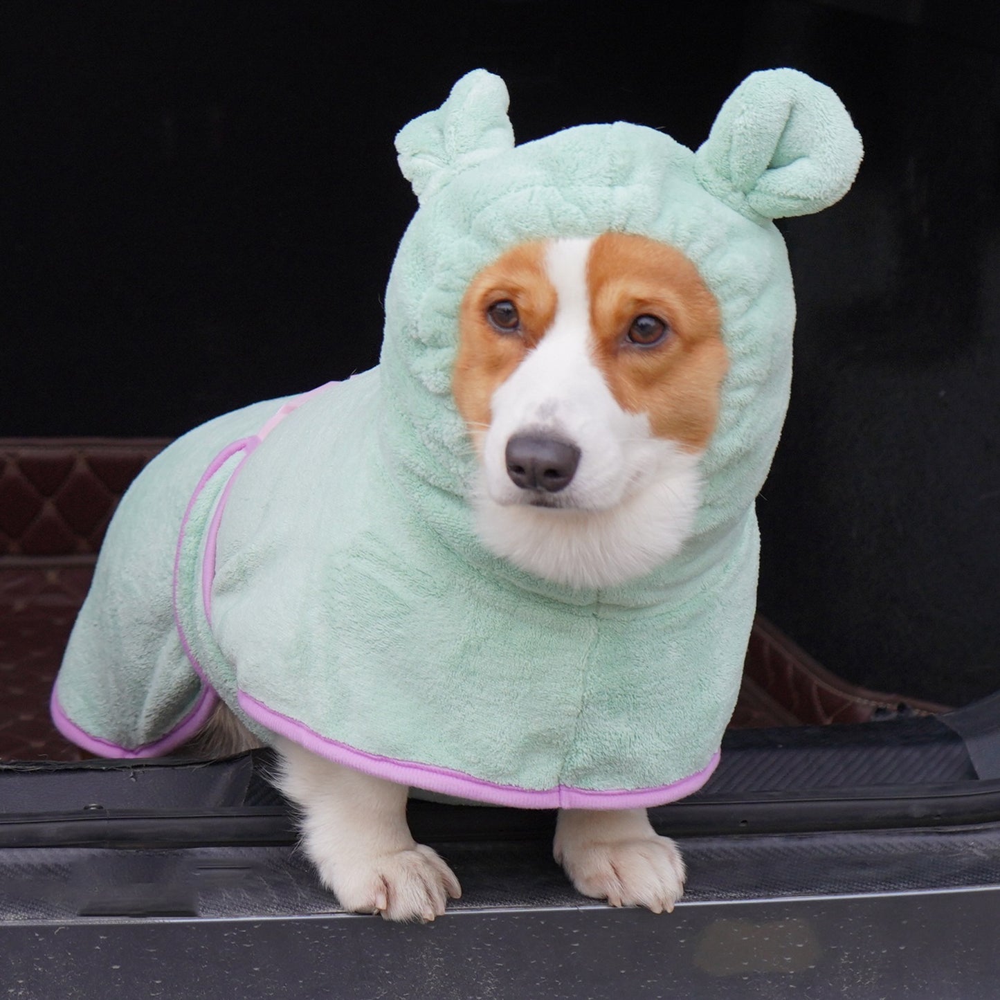 Green Hooded Dog Bathrobe - Super Absorbent, Adjustable Fit, Cozy Pet Towel (Size : L) V888-ELOSUNG26922